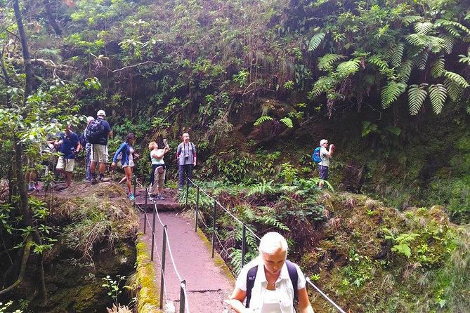 Levada do Caldeirão Verde Levada Walk from Funchal - Reaching the Caldeirão Verde waterfall
