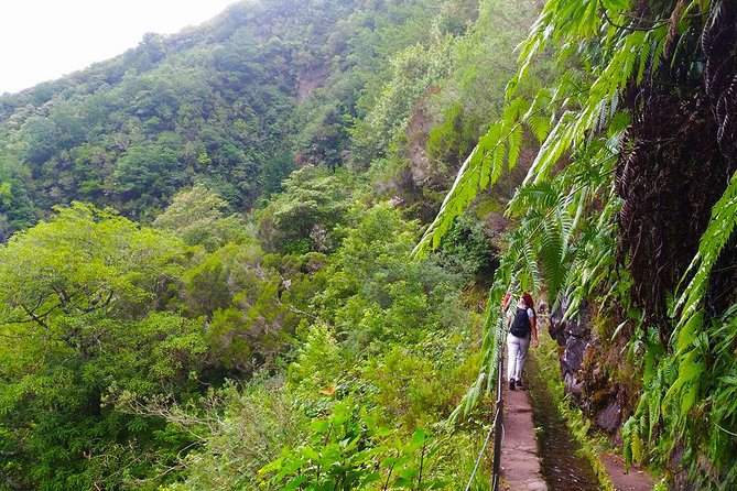 Levada do Caldeirão Verde Levada Walk from Funchal - What the Santana stop really means
