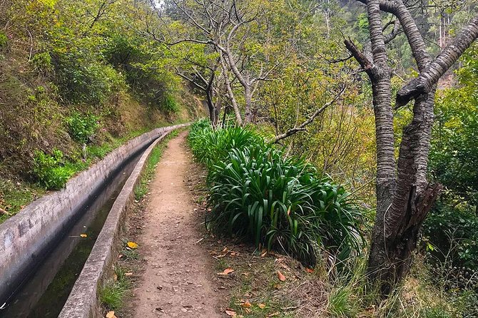 Levada do Norte - Walking Tour - The narrow path deserves serious attention