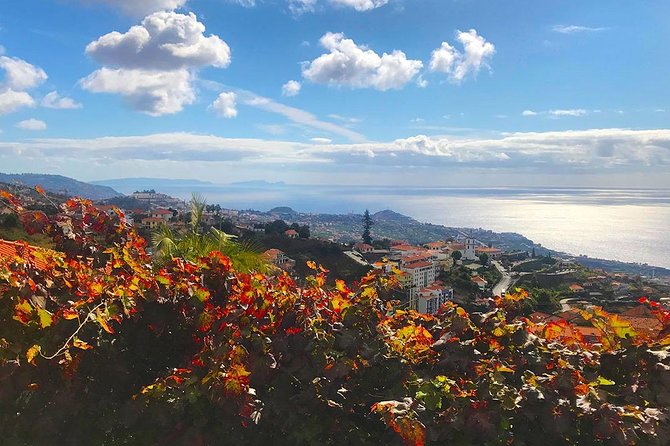 Levada do Norte - Walking Tour - A short walk with a possible coffee break