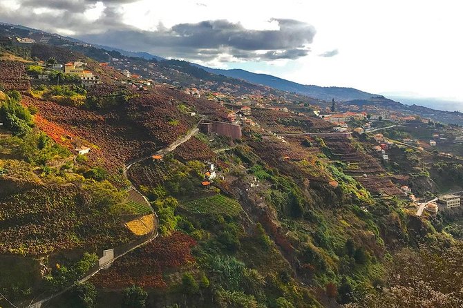 Levada do Norte - Walking Tour - Weather, timing, and what to bring