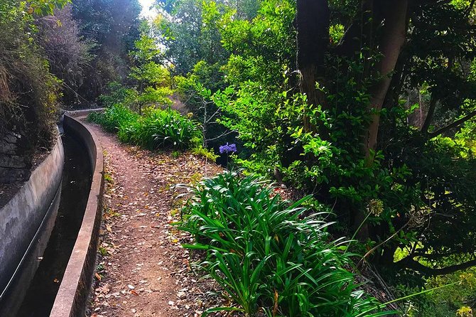 Levada do Norte - Walking Tour - Who will enjoy Levada do Norte