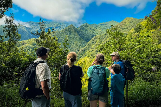 Levada do Rei (PR18) - Through Madeira's Majestic Laurissilva - Key points to know before booking