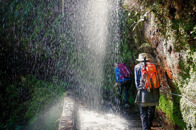 Levada do Rei (PR18) - Through Madeira's Majestic Laurissilva - Walking into Madeira’s ancient Laurissilva