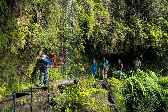 Levada do Rei (PR18) - Through Madeira's Majestic Laurissilva - A guided walk with room for questions