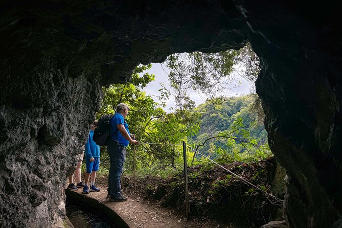 Levada do Rei (PR18) - Through Madeira's Majestic Laurissilva - The PR18 trail: beautiful, but not effortless