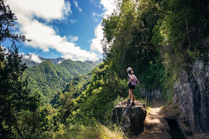 Levada do Rei (PR18) - Through Madeira's Majestic Laurissilva - What the 8:30 a.m. pickup is like