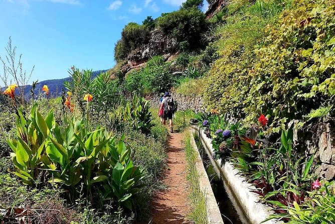 Levada Serra D´Agua - Entering the eucalyptus forest