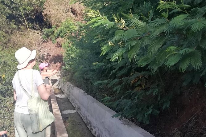 Levada Serra D´Agua - Who should book this experience?