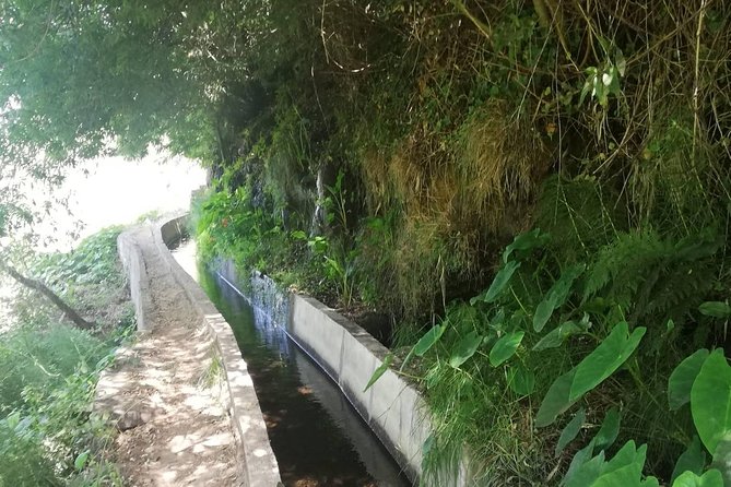 Levada Serra D´Agua - The 8:45 pickup from Funchal