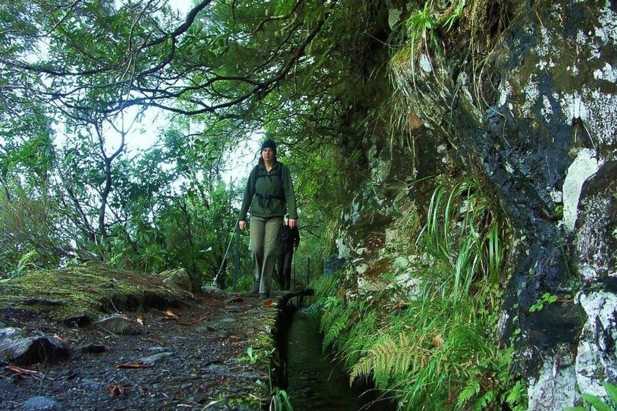 Levada Walk and Caldeirao Verde Waterfalls: Madeira - Key points to know before you go