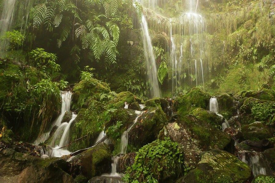 Levada Walk and Caldeirao Verde Waterfalls: Madeira - Why this levada walk is special