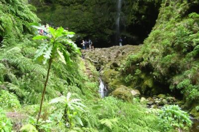 Levada Walk and Caldeirao Verde Waterfalls: Madeira
