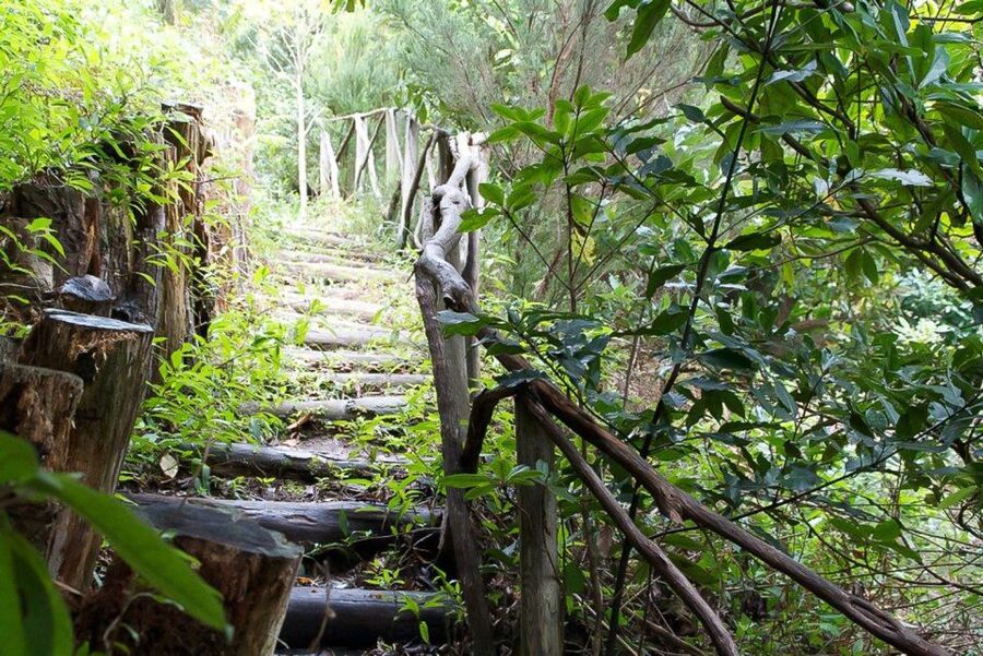 Levada Walk and Caldeirao Verde Waterfalls: Madeira - What to pack for Madeira’s mountain weather