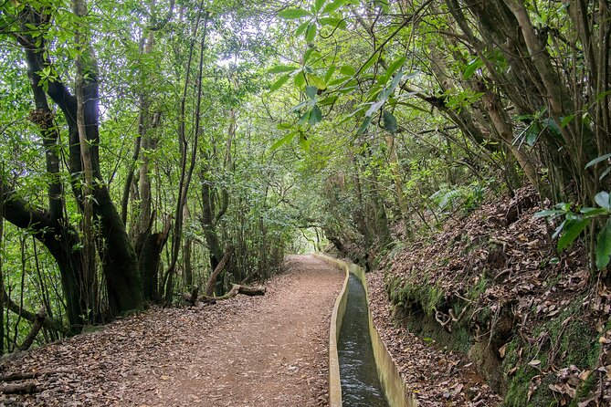 Levada Walk from Ribeiro Frio to Portela - Following the levada toward Lamaceiros