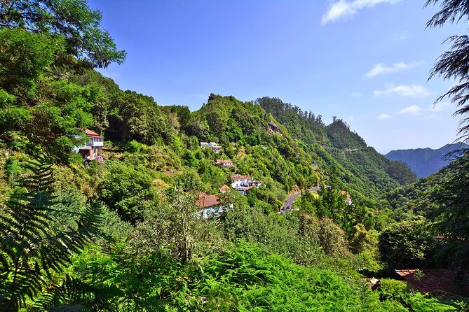Levada Walk from Ribeiro Frio to Portela - Guide quality and group size