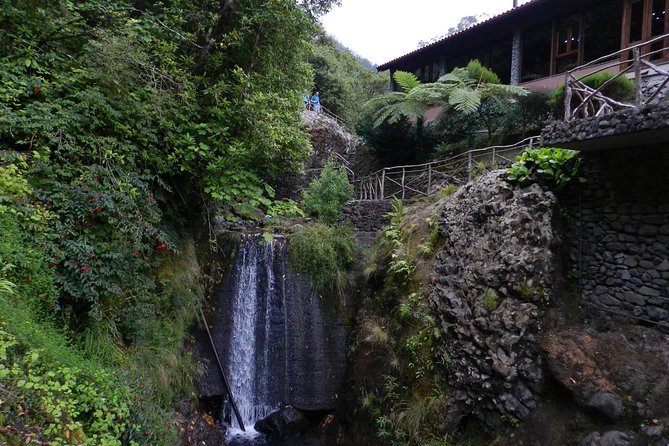 Levada Walk from Ribeiro Frio to Portela - Starting among Ribeiro Frio’s trees