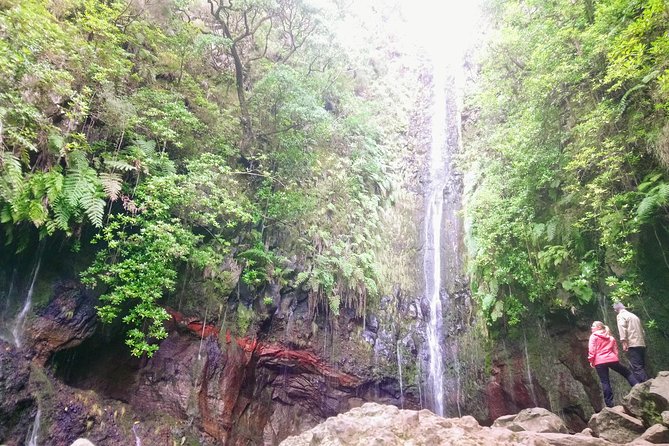 Levada & Waterfalls Hike 25 Fountains, Rabaçal, Risco more Challenging Walk - Is the $95.18 price good value?