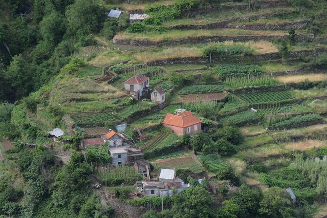 Local Farmers Market and 4WD Experience from Funchal - What the 4WD format is really like
