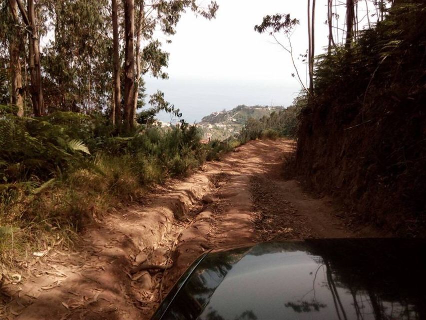 Madeira 2 Full-Day & 1 Half-Day 4x4 jipe Special Tour Combo - Three days that show Madeira from several angles