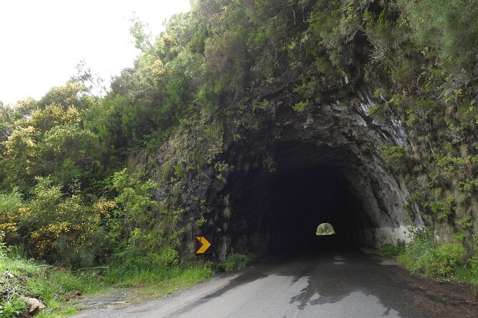 Madeira 4x4 Jeep Safari : Porto Moniz, Lava Pools & Fanal Forest - Fanal Forest brings the most atmospheric stop