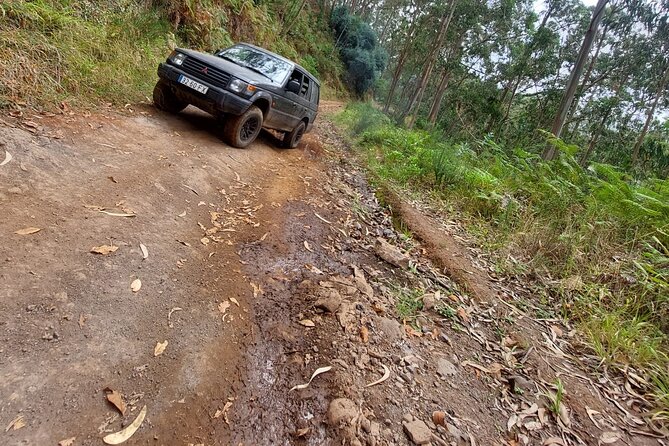Madeira 4x4 Jeep Safari : Porto Moniz, Lava Pools & Fanal Forest - Ribeira da Janela opens onto the Atlantic