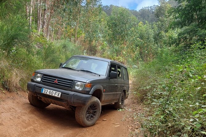 Madeira 4x4 Jeep Safari : Porto Moniz, Lava Pools & Fanal Forest - Cabo Girão gives you Madeira from 580 meters up