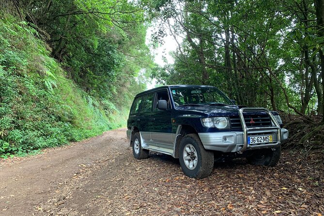 Madeira 4x4 Jeep Tour : Pico Arieiro & Santana Traditional Houses - Pico do Arieiro at 1,818 meters