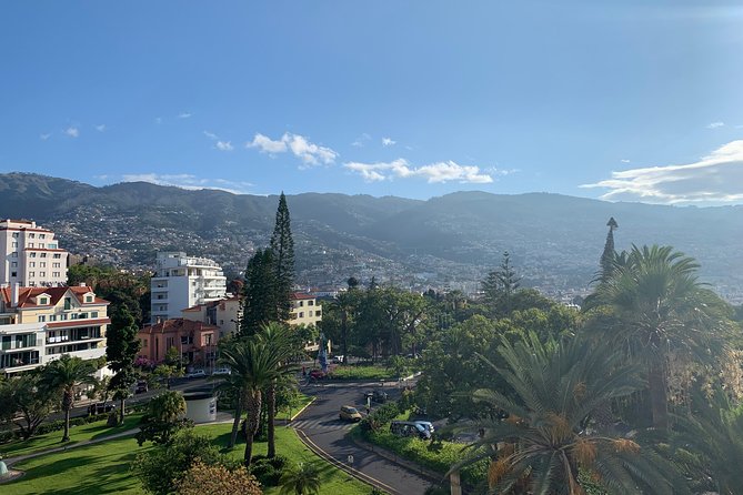 Madeira Airport Round Trip Shuttle Transfers Service - Who should book this shuttle