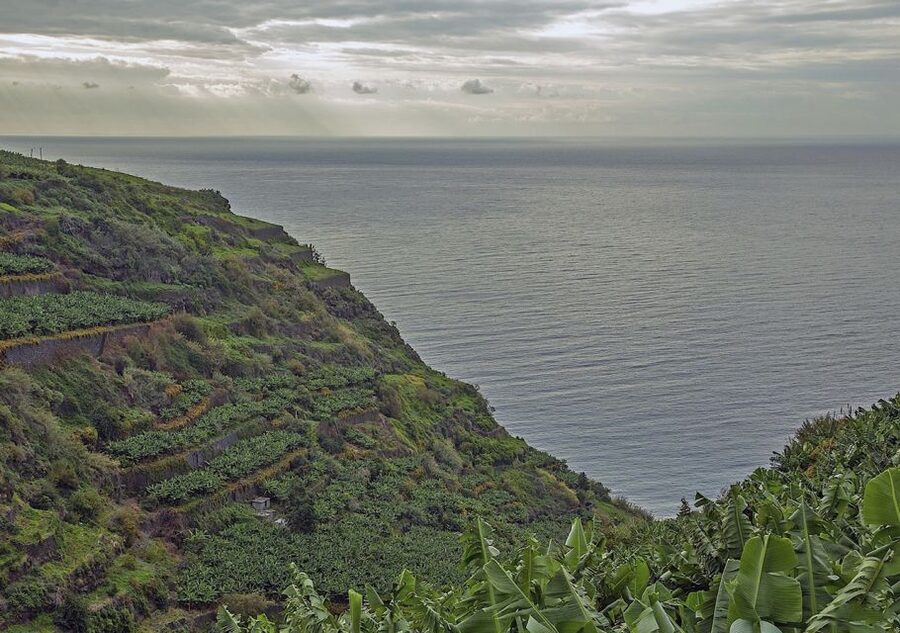 Madeira: Amazing West - Porto Moniz - Seixal’s waterfalls and black-rock coast