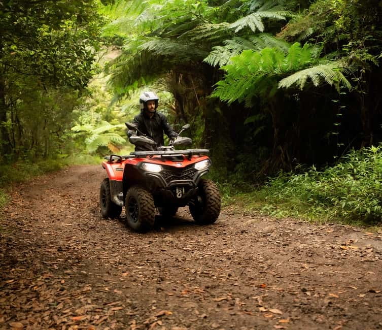 Madeira: Aventura Off-Road de ATV ou Quad - Adrenalina - Key points to know before you book