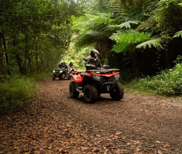 Madeira: Aventura Off-Road de ATV ou Quad - Adrenalina - Getting comfortable on the quad