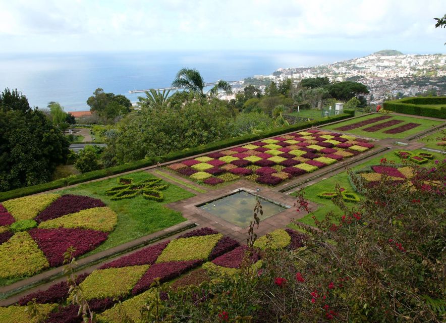 Madeira: Botanical Garden in a Tuk-Tuk Tour - Key points to know before booking