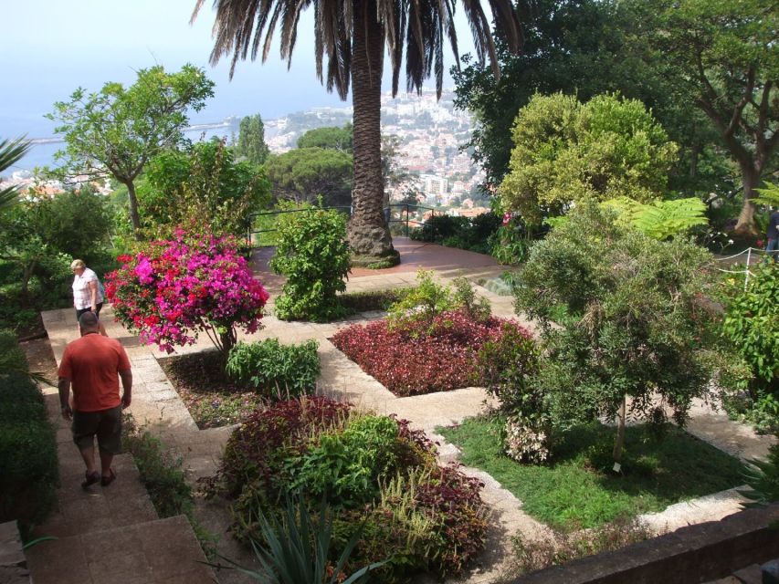 Madeira: Botanical Garden in a Tuk-Tuk Tour - Returning through Funchal’s historic center
