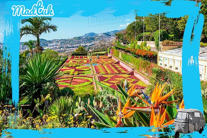 Madeira Botanical Gardens and Old Town Tuk Tuk Tour by MadTuk - Key points to know before booking