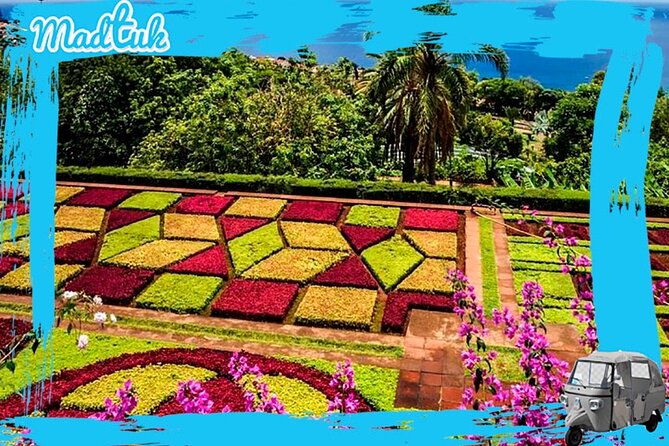Madeira Botanical Gardens and Old Town Tuk Tuk Tour by MadTuk - Is $45.66 good value?