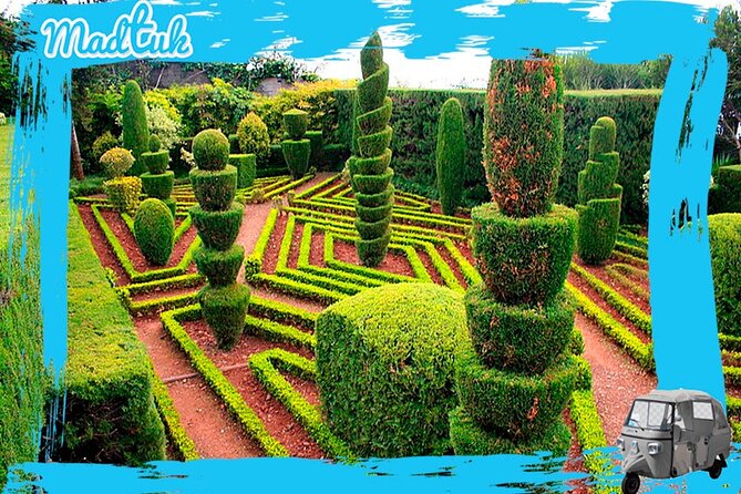 Madeira Botanical Gardens and Old Town Tuk Tuk Tour by MadTuk - From the farmers’ market to Funchal’s Old Zone