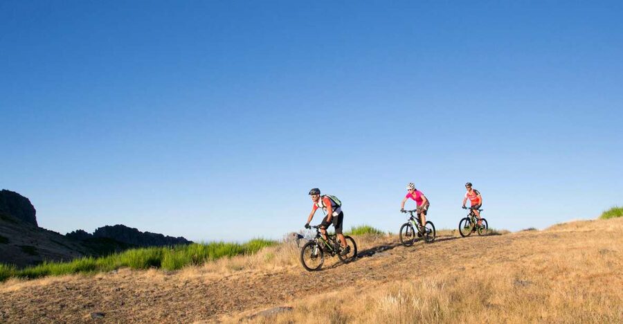 Madeira Botanical Levels Bike Tour – Scenic Trail Experience - Key points to know before booking