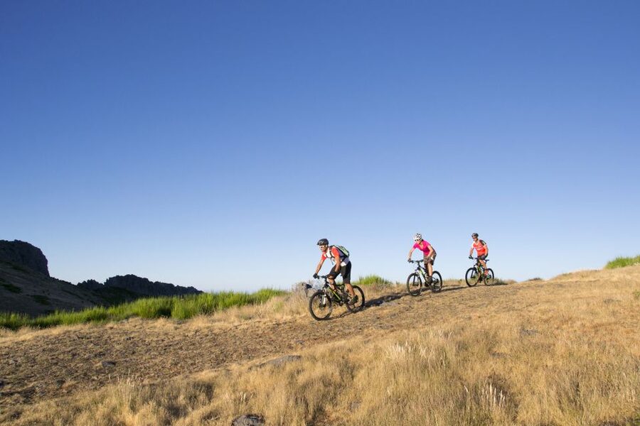 Madeira Botanical Levels Bike Tour – Scenic Trail Experience - Why this ride works so well on Madeira