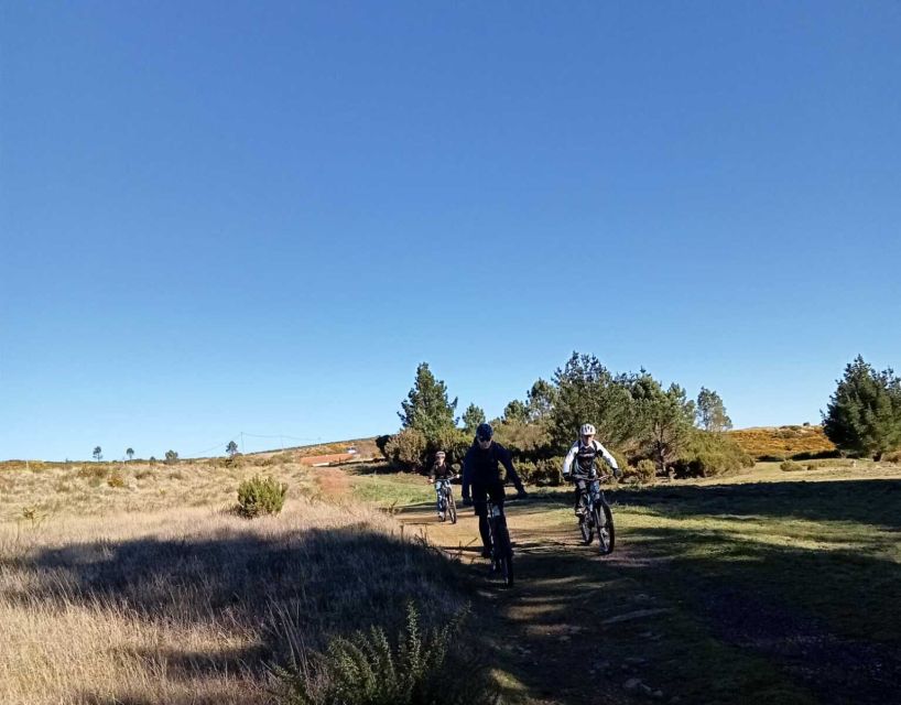 Madeira Botanical Levels Bike Tour – Scenic Trail Experience - The final 10 kilometers require careful braking