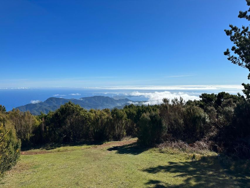 Madeira Botanical Levels Bike Tour – Scenic Trail Experience - The bikes and safety equipment