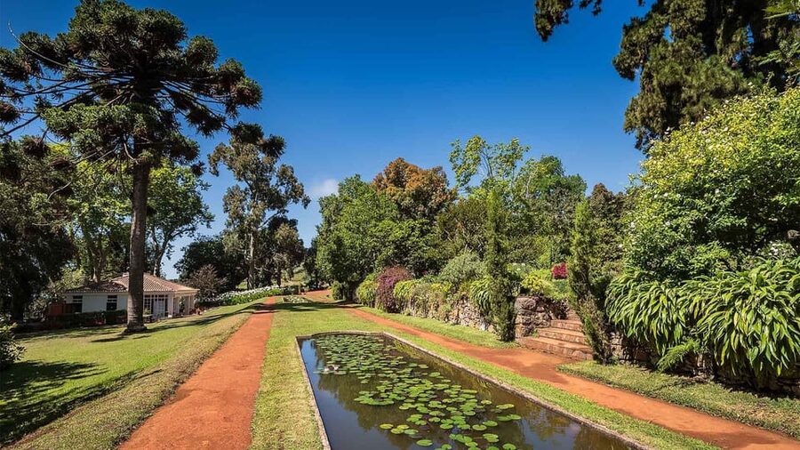 Madeira: Botanical, Monte Palace, and Palheiro Gardens - The real value of $176 per group