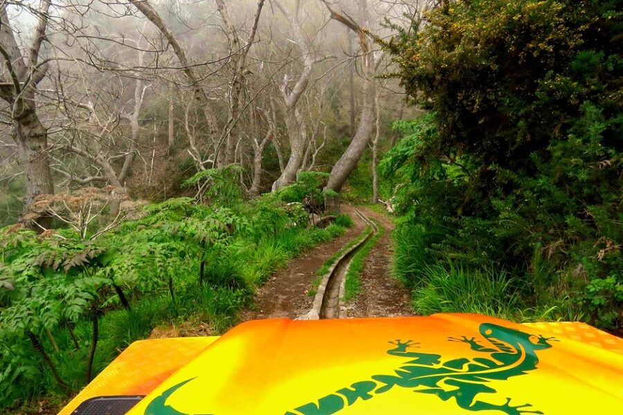 Madeira : Cabo Girao and Camara de Lobo 4WD half-day Tour - Poncha makes the stop feel local