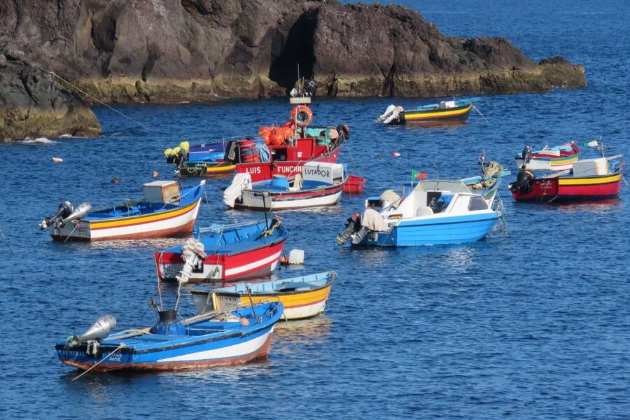 Madeira : Cabo Girao and Camara de Lobo 4WD half-day Tour - Who should book this Madeira tour?