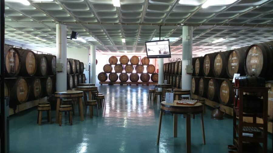 Madeira: Cabo Girao, Jeep Tour Adventure and Wine Tasting - Guides make a real difference