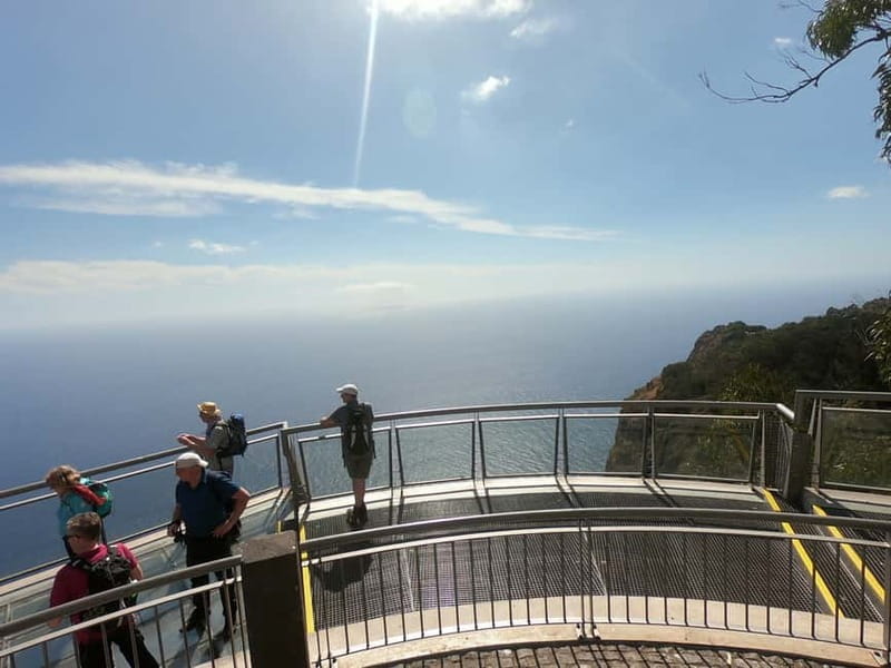 Madeira: Cabo Girão, Wines Experience and Dolphins Watching - Key Points to Know Before Booking
