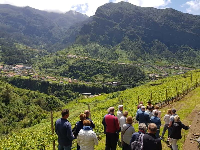 Madeira: Cabo Girão, Wines Experience and Dolphins Watching - Who Will Enjoy This Eight-Hour Day?