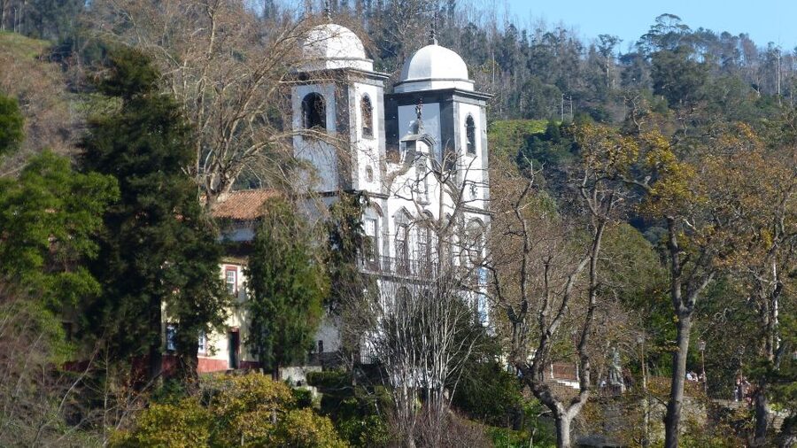 Madeira: Customized 3, 4 or 6-Hour Tour - Fajã dos Padres and Doca do Cavacas