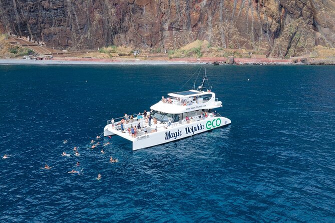 Madeira Dolphin and Whale Watching on a Ecological Catamaran - Quick take: what matters most