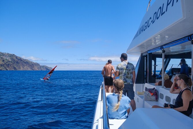 Madeira Dolphin and Whale Watching on a Ecological Catamaran - How much value do you get for $42.33?